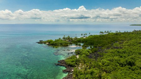 Téléchargez les photos : Tropical island shore with rainforest and jungle. Virgin Island, Philippines. - en image libre de droit