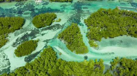 Téléchargez les photos : Islands in a beautiful lagoon. Tropical landscape. Bantayan island, Philippines. - en image libre de droit