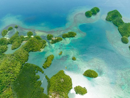 Luftaufnahme der Bucht und Lagune mit Inseln. Seelandschaft in den Tropen. Sipalay, Negros, Philippinen.