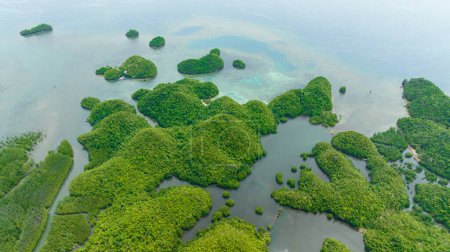 Téléchargez les photos : Drone aérien d'île tropicale dans la crique. Clusters d'îles dans les lagunes. Sipalay, Negros, Philippines. - en image libre de droit