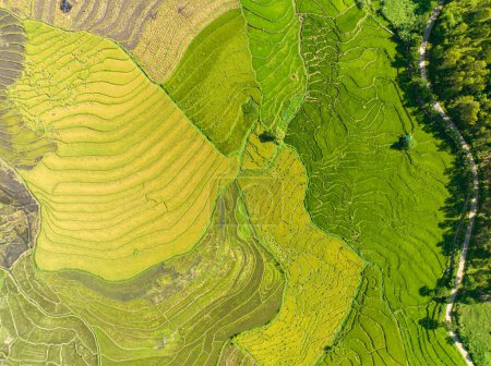 Vista superior de casas de agricultores entre campos de arroz y tierras de cultivo. Negros, Filipinas.