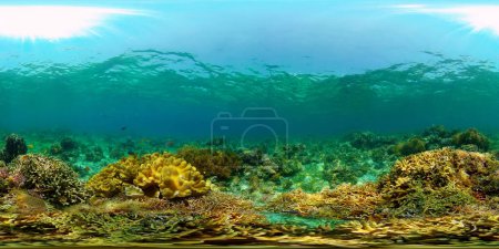 Schöne Unterwasserlandschaft mit tropischen Fischen und Korallen. Leben Korallenriff. Reef Coral Garden unter Wasser. Philippinen. 360-Grad-Panorama VR