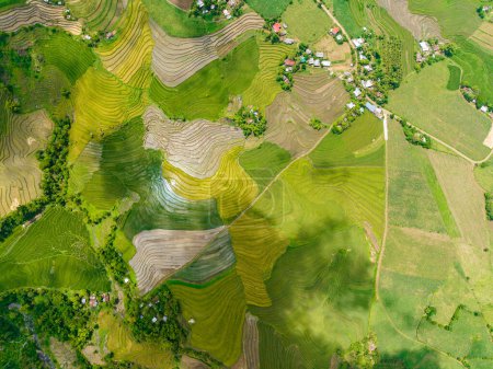 Aerial drone of houses of farmers among rice fields and farmlands. Negros, Philippines.