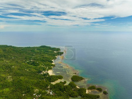 Vista superior de la costa de la isla con selva y playas. Negros, Filipinas