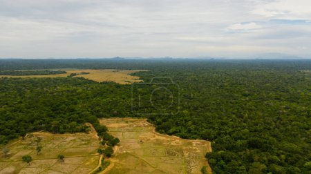 Rural area with agricultural land and rice fields in Sri Lanka Aerial view.