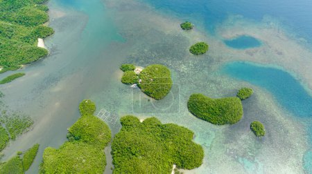 Téléchargez les photos : Vue de dessus de la lagune avec des îles tropicales Baie avec des collines. Sipalay, Negros, Philippines. - en image libre de droit