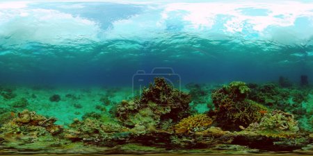 Korallenriff unter Wasser mit Fischen und Meereslebewesen. Korallenriffe und tropische Fische. Philippinen. Virtuelle Realität 360.