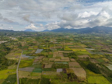 Foto de Campos agrícolas y campos agrícolas en el campo de Sumatra. Berastagi, Indonesia. - Imagen libre de derechos