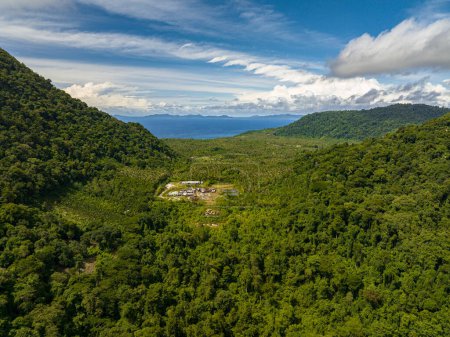 Téléchargez les photos : Forêt tropicale et jungle tropicale. Weh Island, Aceh, Indonésie. - en image libre de droit