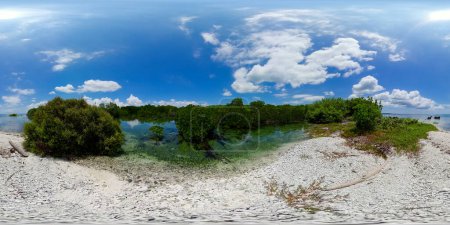 Photo for Beach and mangroves on a tropical island. Virgin island, Philippines. Virtual Reality 360. - Royalty Free Image