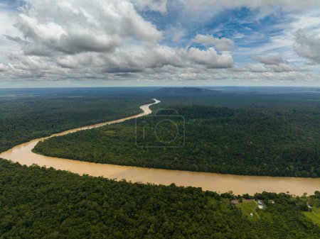 Top view of Kinabatangan river among the rainforest and jungle. Borneo, Malaysia.