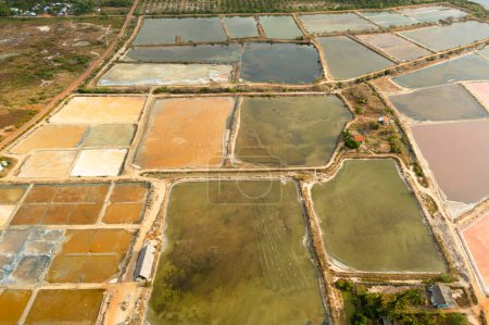 Drohne der Salzproduktionsanlagen Salzverdunstungsteich Felder im Salzsee. Sri Lanka