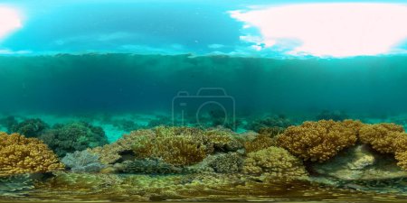Szene aus dem Korallenriff. Tropische Unterwasserfische. Farbenprächtiges tropisches Korallenriff. Philippinen. 360-Grad-Panorama VR