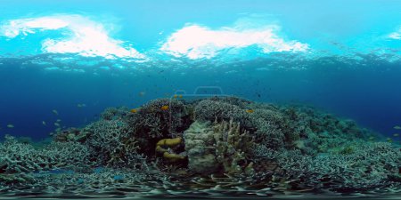 Farbenprächtiges tropisches Korallenriff. Szenenriff. Seelandschaft unter Wasser. Philippinen. Virtuelle Realität 360.
