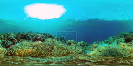 Farbenprächtiges tropisches Korallenriff. Hart- und Weichkorallen, Unterwasserlandschaft. Philippinen. Virtuelle Realität 360.