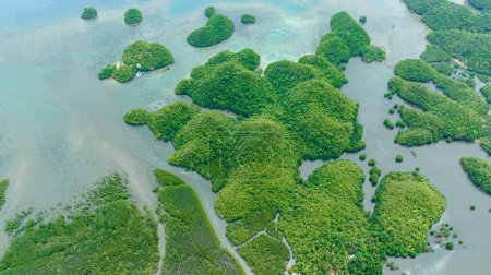 Vista superior de la isla tropical en la cala. Racimos de islas en lagunas. Sipalay, Negros, Filipinas.