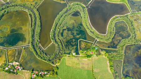 Téléchargez les photos : Vue aérienne des rizières inondées et des terres agricoles à la campagne. Paysage agricole. Rivière Hinigaran. Negros, Philippines - en image libre de droit