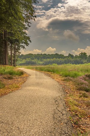 Foto de Una ruta de senderismo y ciclismo en el parque natural holandés Sterreschans en Bakkeveen - Imagen libre de derechos