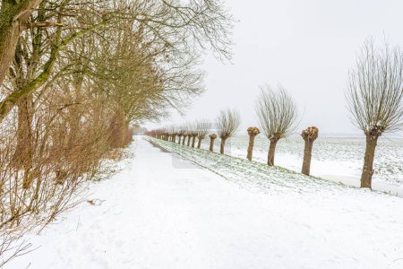 Téléchargez les photos : Piste cyclable enneigée dans le paysage du polder - en image libre de droit