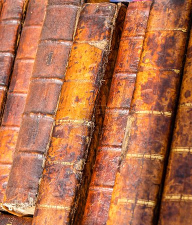 Foto de Fila de espinas de libros de cuero vintage sin títulos en el mercado. - Imagen libre de derechos