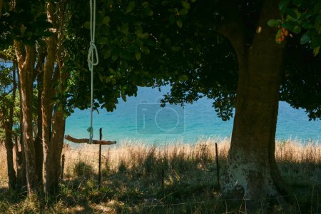 Téléchargez les photos : Vieille corde et balançoire suspendue sous l'arbre en silhouette avec vue sous la baie turquoise. - en image libre de droit