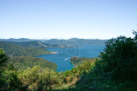 Photo for Scenic Marlborough Sounds view from Queen Charlotte Track walk in South island New Zealand. - Royalty Free Image