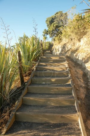 Photo for Wooden steps on track up Mount Maunganui at sunrise. - Royalty Free Image