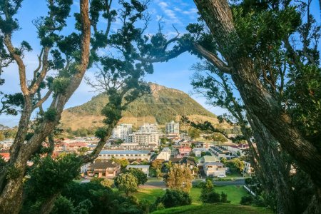 Photo for View of Mount Maunganui and town framed by twisted branches of pohutukawa on Mount Drury, Tauranga New Zealand. - Royalty Free Image