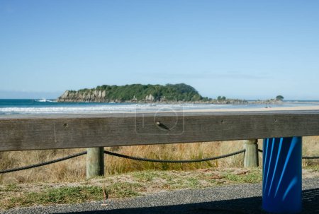 Photo for Park bench seat overlooking Main Beach Mount Maunganui on summer day. - Royalty Free Image