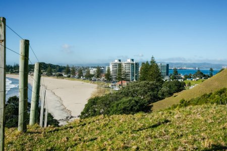 Photo for View from slope of Mount Maunganui over Main Beach and town buildings under blue sky. - Royalty Free Image