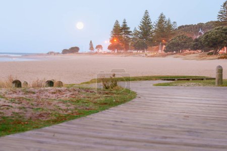 Photo for Golden rising moon over Mount Maunganui Main Beach in Tauranga New Zealand. - Royalty Free Image