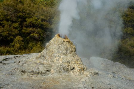 Photo for Steaming geothermal activity in central North Island New Zealand. - Royalty Free Image