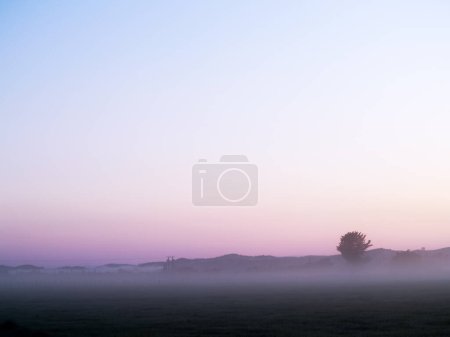 Téléchargez les photos : Misty morning across rural land in Wairarapa district, New Zealand. - en image libre de droit