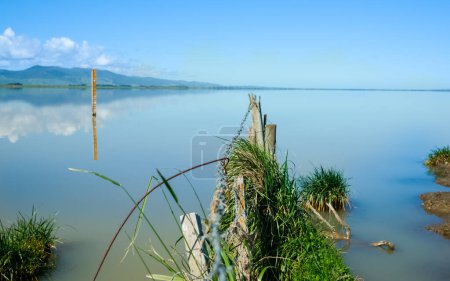 Téléchargez les photos : Fence leading into calm blue water of Lake Wairarapa with distant hills across other side in New Zealand North Island. - en image libre de droit
