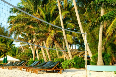 Photo for Empty Loungers lined up long sunny tropical beach - Royalty Free Image