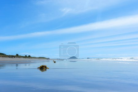 Foto de Vista a lo largo de la playa de Papamoa al emblemático Monte Maunganui en la distancia. - Imagen libre de derechos