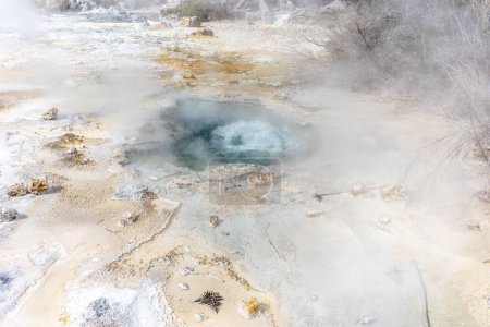 Foto de Piscina de agua caliente al vapor en el paisaje geotérmico de Orakei Korako - Imagen libre de derechos