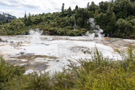 Photo for Orakei Korako geothermal landscape New Zealand - Royalty Free Image