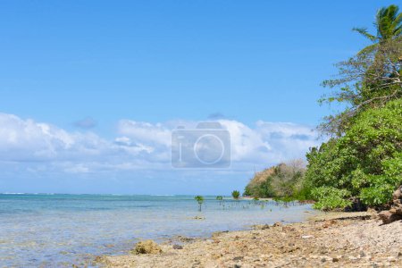 Téléchargez les photos : Plage panoramique et vue sur la mer Plage sur le côté continental de l'île de Yanuca, Fidji. - en image libre de droit