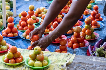 Foto de Brazos y manos de la persona que arregla en pilas de tomates en platos para la venta en la calle en Sigatoka, Fiji. - Imagen libre de derechos