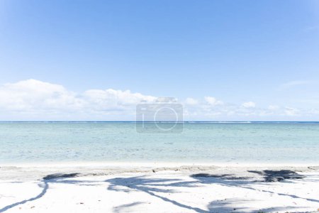 Téléchargez les photos : Plage tropicale ombres palmier sur sable avec mer - en image libre de droit