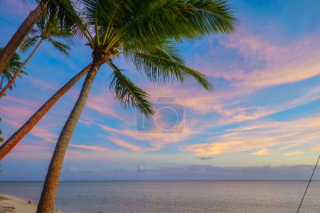 Téléchargez les photos : Coucher de soleil tropical avec des cocotiers voûtants. - en image libre de droit