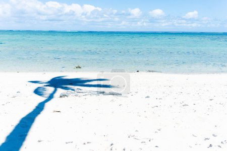 Téléchargez les photos : Plage tropicale ombres palmier sur sable avec mer - en image libre de droit