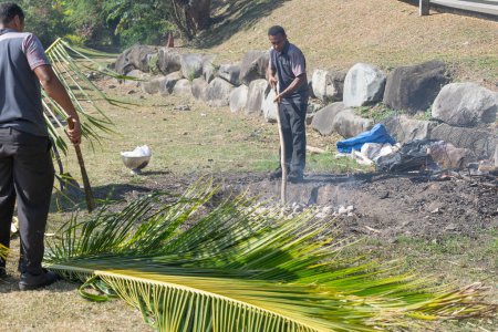 Foto de Viti Levu Fiji - 13 de septiembre de 2023; Hombres dedicados a la preparación y tradicional en la cocina de horno molido meal.push piedras calientes alrededor y la colocación de hojas de palma sobre. - Imagen libre de derechos