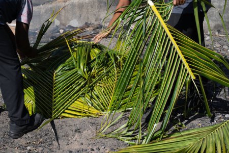 Foto de Preparación para el fiyiano tradicional en horno molido o lovo para la comida de cocina - Imagen libre de derechos