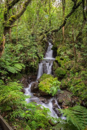 Waterfall flowing through wilderness area of Ketetahi Track in Tongariro Alpine NAtional Park.