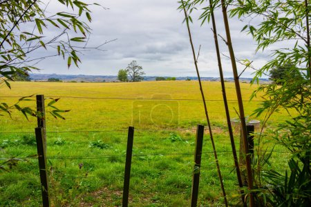 Bedeckter Himmel über weiten landwirtschaftlichen Feldern in Fordell, Wanganui.