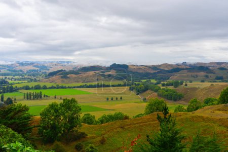 Amplio paisaje rural de Nueva Zelanda a la luz de la mañana en el paisaje rural de Wanganui Fordell