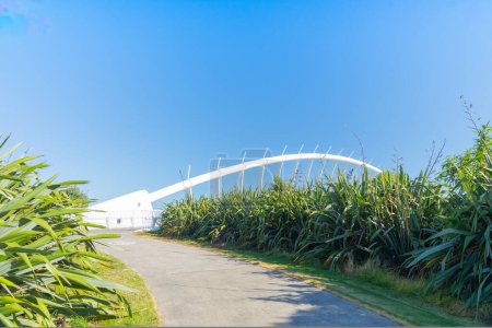 New Plymouth. Nouvelle-Zélande - 1er mars 2024 ; Cycliste traversant le pont Te Rewa Rewa en acier blanc sur la promenade côtière de New Plymouth Taranaki.