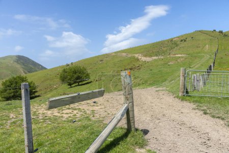 Open gate in field on hill slope under blue sky in New Zealand.